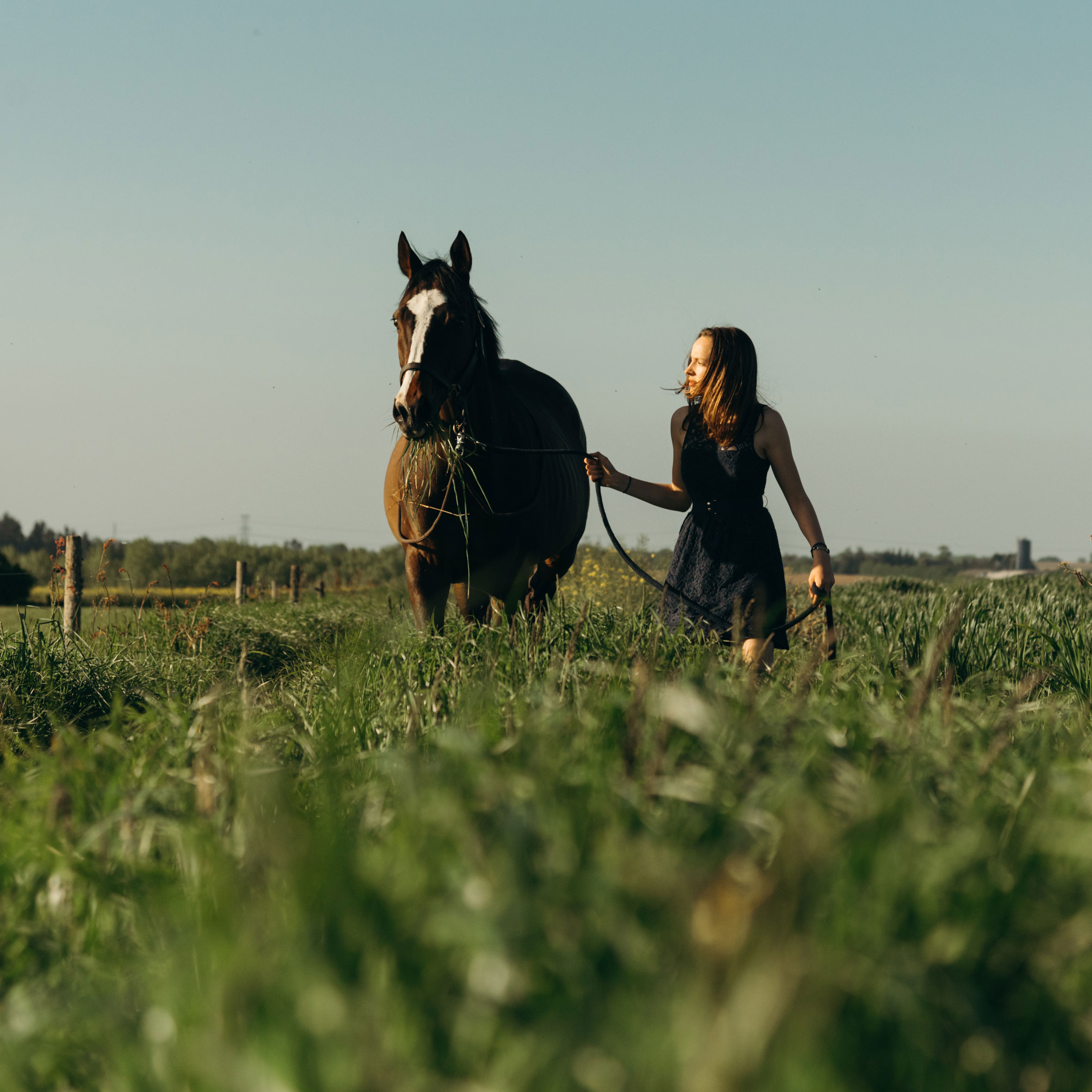 seance photo a domicile, , une jeune fille pose avec son cheval
