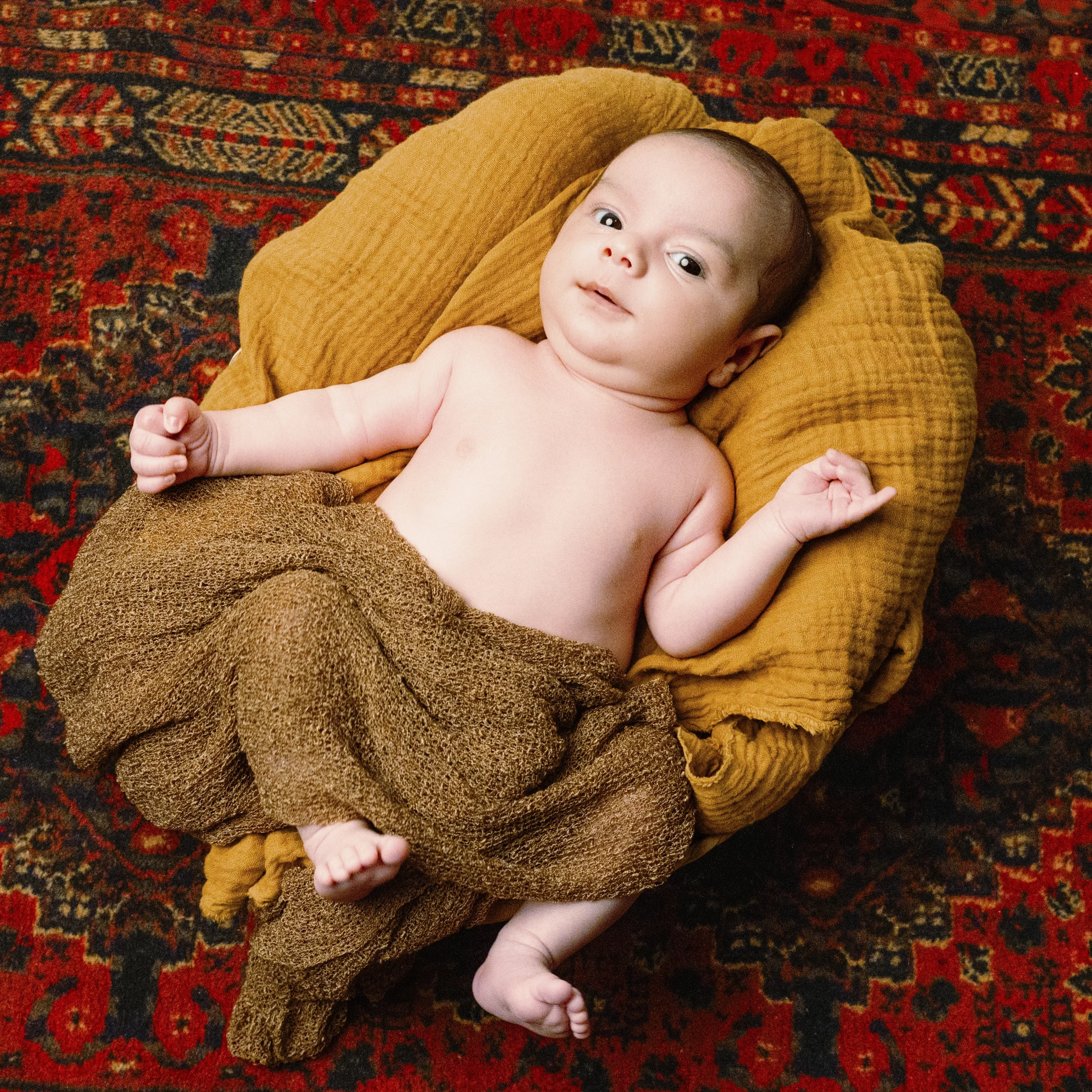 portrait d'un bebe dans son couffin. une séance photo nouveau ne a rennes